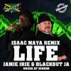 Download track Life (Remix Dubwise)