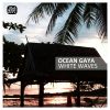 Download track White Waves