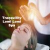 Download track Tranquility Spa