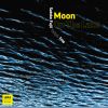 Download track Moon On The Lake