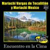 Download track Mirando Una Estrella (Instrumental)