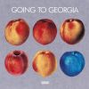 Download track Georgia Considers The Two Blue Ones (Thursday) (Yo La Tengo Cover)