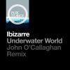 Download track Underwater World (John Ocallaghan Remix)