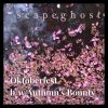 Download track Oktoberfest