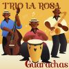 Download track La Guaracha De La Jicotea