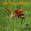 Download track Canine Chill Out