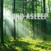 Download track Forest Stillness Daytime Ambience, Pt. 20