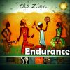 Download track Endurance (Instrumental)