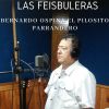 Download track Las Feibuileras