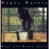 Download track What God Wants, Part 1 (Album Version)