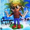 Download track Whatever That Mean