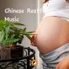 Download track Chinese Restful Music For Pregnant Women And The Fetus