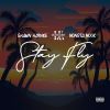 Download track Stay Fly