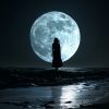 Download track Melodías Iluminadas Por La Luna Calman