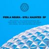 Download track Still Hounted (Saga (PE) Remix)