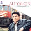 Download track Türkü Gözlüm