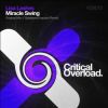 Download track Miracle Swing (Splattered Implant Remix)