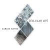 Download track Cellular Life IV