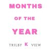 Download track Months Of The Year (Party Version)