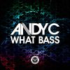 Download track What Bass