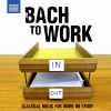 Download track The Well-Tempered Clavier, Book 1 (Excerpts) Prelude & Fugue No. 6 In D Minor, BWV 851