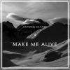 Download track Make Me Alive (KarlK Remix)