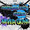 Download track Never Gone (Extended Mix)