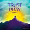 Download track Trust + Pray