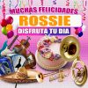 Download track Felicidades A Rossie - Version Mariachi (Hombre)