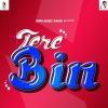 Download track Tere Bin