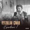 Download track Kara Bahtım (Feyzullah Çınar Eserleri 1)