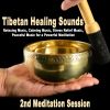 Download track Healing Anxiety And Stress (Emotional And Physical Healing)