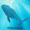 Download track Friedliche Kommunikation Unter Wasser