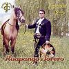 Download track Huapango Torero