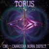 Download track Torus