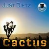 Download track Cactus (Fletch Beatless Interlude Mix)