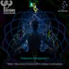 Download track Ayahuasca Experience