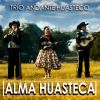 Download track Alma Huasteca