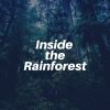 Download track Best Nature Rainy