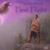 Download track Eagle Flight