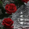 Download track 不问归期 (伴奏版)