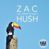 Download track Hush (Radio Edit)