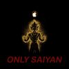 Download track Fight Saiyan