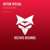 Download track Synosure (Original Mix)