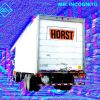 Download track Lasterfahrer Horst