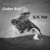 Download track Soft Breeze (Laber Bris)