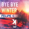 Download track Bye Bye Winter (Radio Edit)