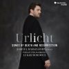 Download track Des Knaben Wunderhorn: Urlicht