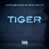 Download track Tiger (Extended Mix)