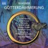 Download track Götterdämmerung, WWV 86D, Act III: War Das Sein Horn?